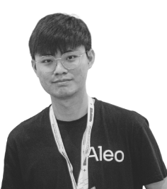 ZK Lim, Aleo image